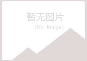 黑龙江夏岚计算机有限公司